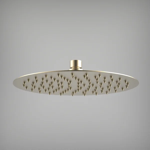 Ava Round 250mm Shower Head - Brushed Brass