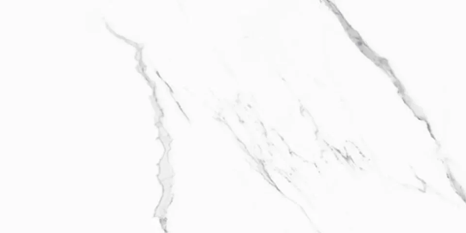 European Tiles Marmo STATUARIO LUX 30 X 60 Rectified Matte Tile detail view - Image 3