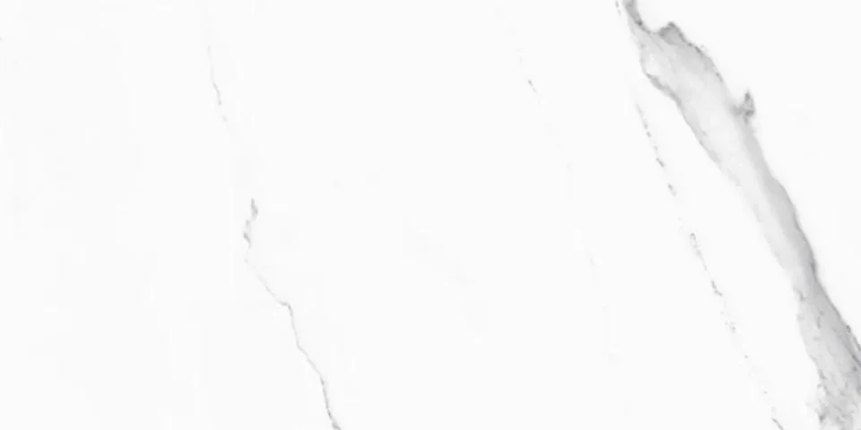 European Tiles Marmo STATUARIO LUX 30 X 60 Rectified Matte Tile detail view - Image 4