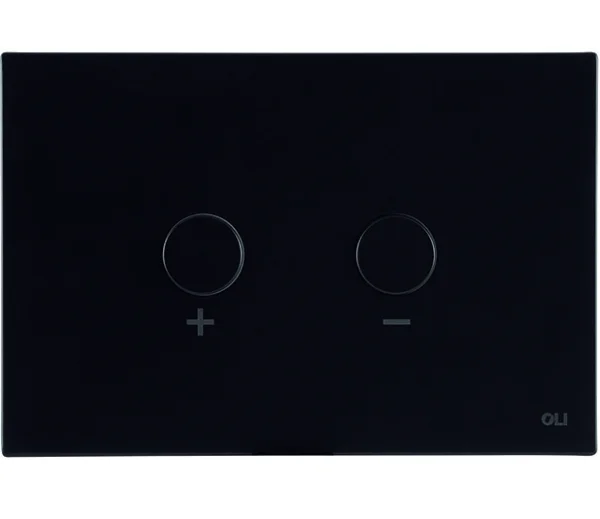 Blink Pneumatic Dual Flush Plate Matt Black RT