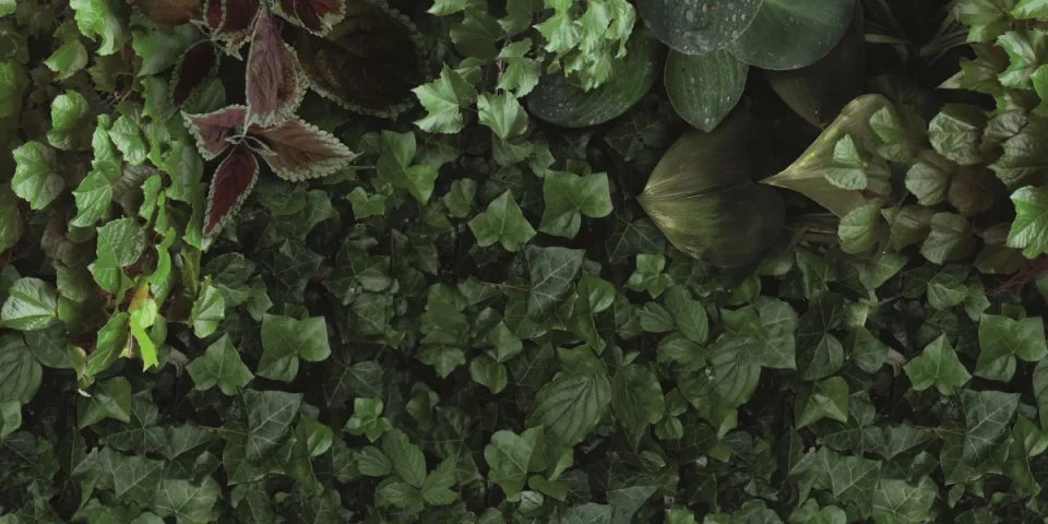 European Tiles Rainforest 50x100 3.5mm Rectified Tile - Piece D detail view - Image 2