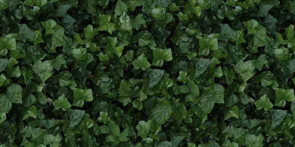 European Tiles Rainforest 50x100 3.5mm Rectified Tile - Piece E detail view - Image 2