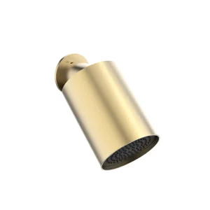 Crosswater Revive Single Mode Showerhead Brushed Brass