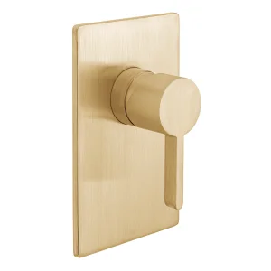 Vado Individual Edit 1 Outlet Concealed Single Lever Manual Valve Brushed Gold