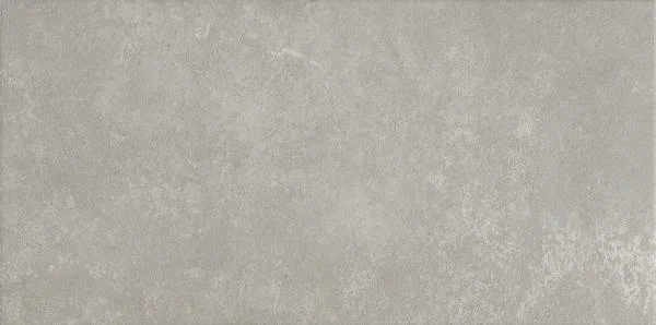 European Tiles Disc Gris 30X60 Matt Porcelain Tile - SALE