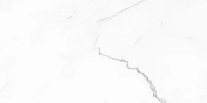 European Tiles Marmo STATUARIO LUX ONDA 120 X 60 Rectified Matte Tile detail view - Image 2