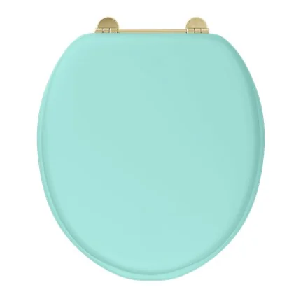 Burlington Bespoke Cosmic Green Seat With Chrome Hinges