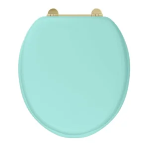 Burlington Bespoke Cosmic Green Seat With Chrome Hinges