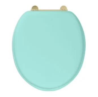 Burlington Bespoke Cosmic Green Seat With Chrome Hinges