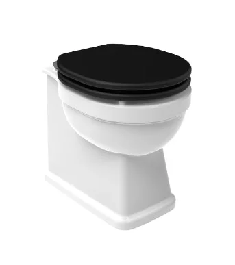 Saneux Sofia Back To Wall Pan - Wels Approved - Rimless