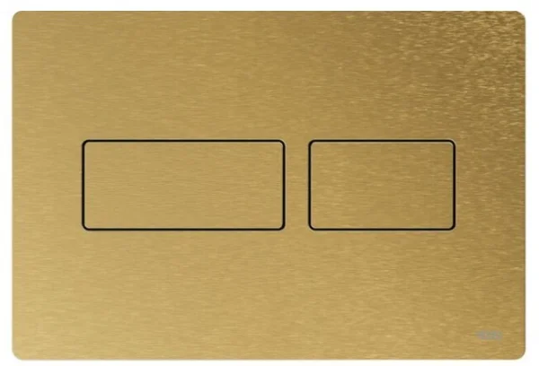 Tece Solid Dual Flush, Brushed Brass New