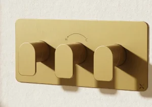 Crosswater Fuse 2 Outlet 3 Handle Landscape Valve & Trimset Brushed Brass