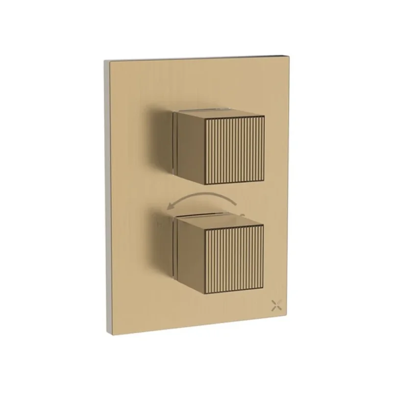 Crosswater Crossbox Limit 2 Oulet Trim & Levers Brushed Brass detail view - Image 2