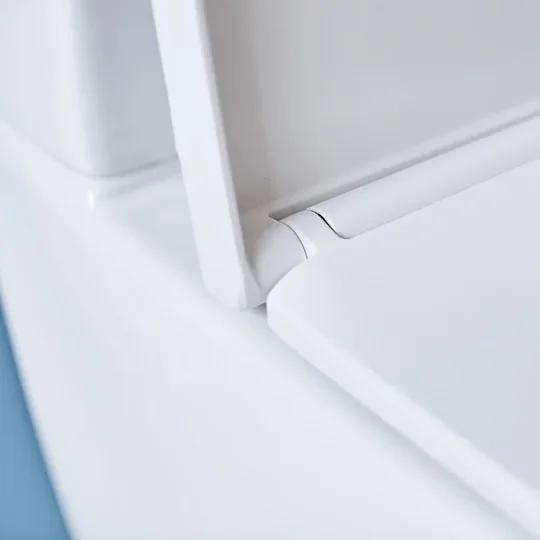 Britton Sphere Tall Rimless Back To Wall Pan 480mm & Seat Gloss White detail view - Image 2