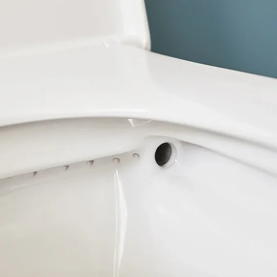 Britton Sphere Tall Rimless Back To Wall Pan 480mm & Seat Gloss White detail view - Image 3