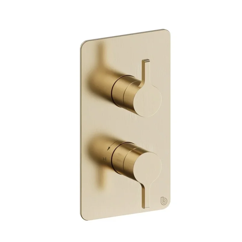 Britton Hoxton 2.0 Shower Mixer With Diverter Including The Conceal Valve Brushed Brass product image - Image 1
