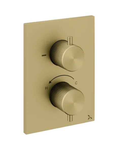 Crosswater Crossbox 3ONE6 2 Outlet Trim & Levers Stainless Brushed Brass Effect product image - Image 1