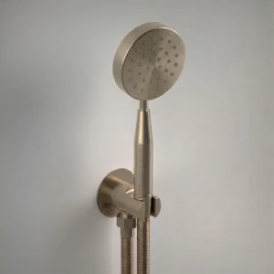 AVA Single Function Round Shower Kit with Head, Outlet and Smooth Hose - PVD Brushed Brass
