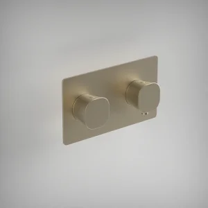Ava Purity 2 Way 2 Handle Thermostatic Valve W/ Backplate 3.0 - Brushed Brass