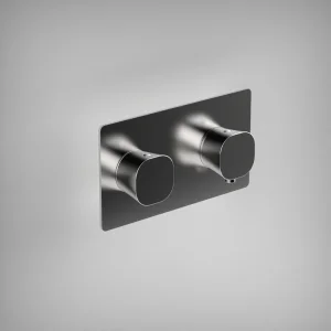 Ava Purity 2 Way 2 Handle Thermostatic Valve W/ Backplate - Polished Stainless Steel