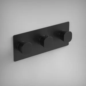 Ava Purity 2 Way 3 Handle Thermostatic Valve W/ Backplate - Brushed Black