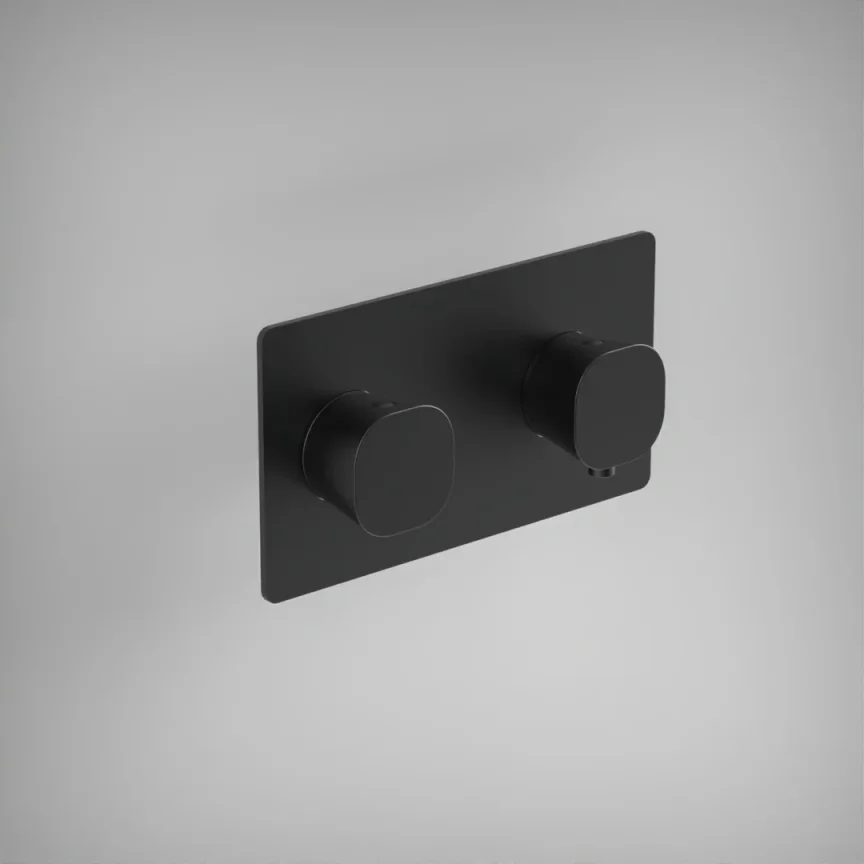 Ava Purity 1 Way 2 Handle Thermostatic Valve W/ Backplate - Brushed Black product image - Image 1