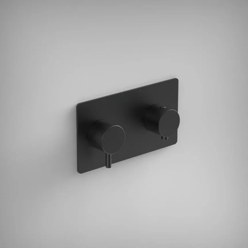 Ava Trend 1 Way 2 Handle Thermostatic Valve W/ Backplate - Brushed Black product image - Image 1