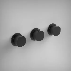 Ava Purity 2 Way 3 Handle Thermostatic Valve W/ Flanges - Brushed Black