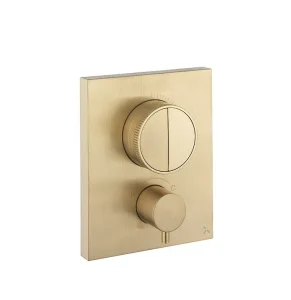 Crosswater Crossbox Push Mpro 2 Outlet Trim & Levers Brushed Brass