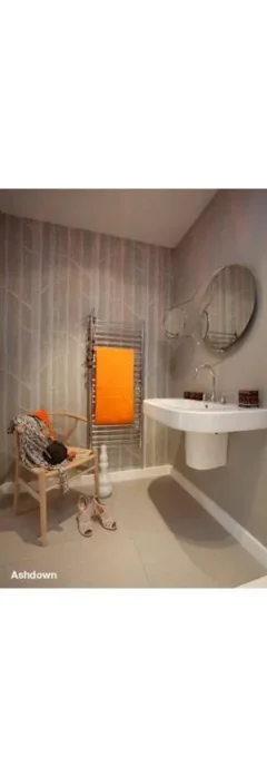 Jis Ashdown 400 1250 X 400mm Radiator For Central Heating Polished Stainless Steel detail view - Image 3