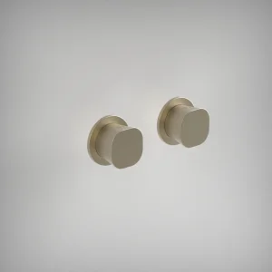 Ava Purity Hot & Cold Stop Valves W/ Flanges - Brushed Brass