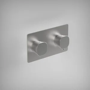 Ava Purity 1 Way 2 Handle Thermostatic Valve W/ Backplate - Brushed Stainless Steel