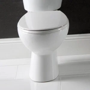 Eastbrook Loire Close Coupled Wc Pan White