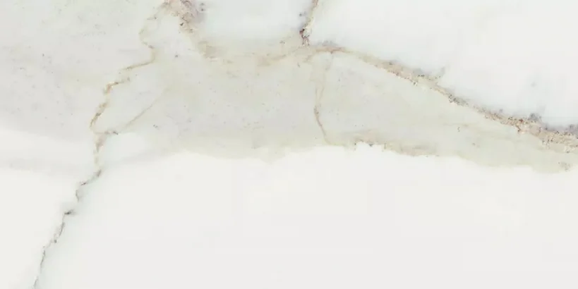 European Tiles Pure Marble Natural Rectified 60x120mm detail view - Image 3