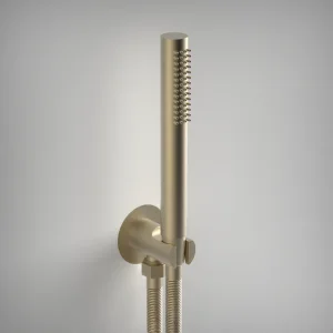 Ava Hand Shower Integrated Round Wall Outlet, Hose & Hand Shower - Brushed Brass