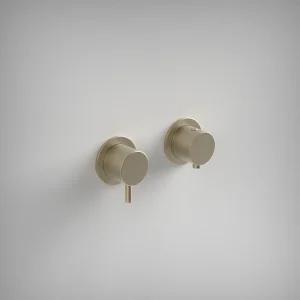 Ava Trend 2 Way 2 Handle Thermostatic Valve W/flanges - Brushed Brass