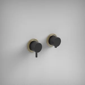 Ava Trend 2 Way 2 Handle Thermostatic Valve W/ Brushed brass flanges - Brushed Black