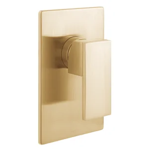 Vado Individual Notion 1 Outlet Concealed Single Lever Manual Valve Brushed Gold