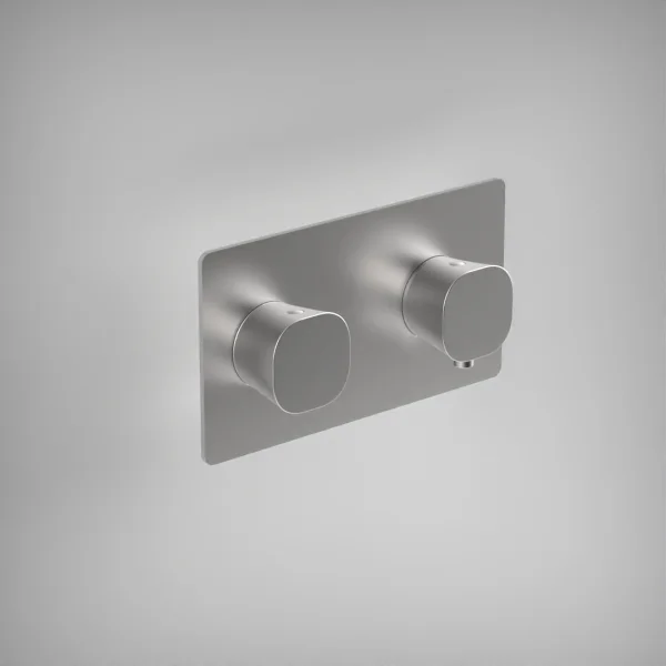 Ava Purity 2 Way 2 Handle Thermostatic Valve W/ Backplate - Brushed Stainless Steel